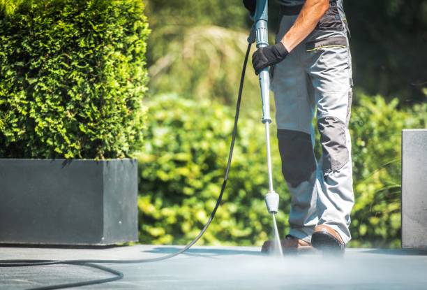 Best Spring Cleaning  in Newberry, FL